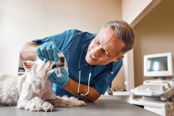 Best Emergency Tooth Extraction in Eudora, AR